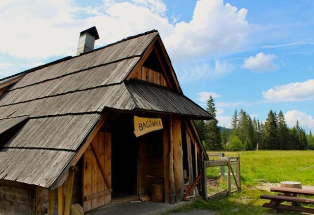 Apartament BazaTatry Świstak Zakopane Bagian luar foto