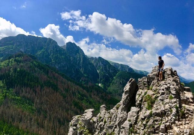 Apartament BazaTatry Świstak Zakopane Bagian luar foto